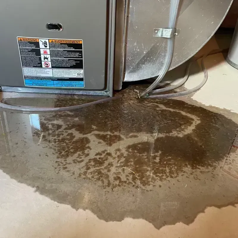 Appliance Leak Cleanup in Jersey County, IL